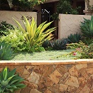 The gardens of this historical 1928 home were all grass at first. In front, a new entry walk and neighbor seat wall; in back, alfresco dining, outdoor fireplace, seating area and artist studio along with colorful, textural plantings create a sanctuary.